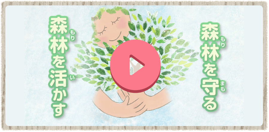 テレビCM