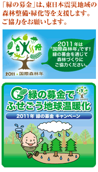 2011年は「国際森林年」です!緑の募金を通じて森林づくりにご協力ください。緑の募金でふせごう地球温暖化
