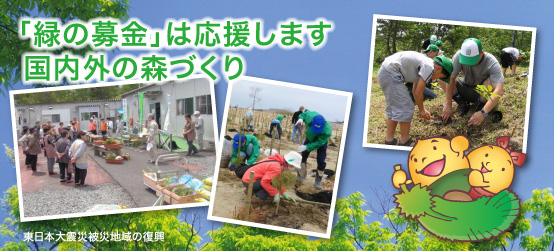 「緑の募金」は応援します。地球温暖化防止に向けた森づくり。