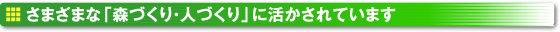 さまざまな「森づくり・人づくり」に活かされています