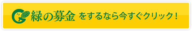 緑の募金をするなら今すぐクリック！