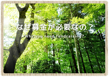 なぜ募金が必要なの？ - Why you need fundraising?