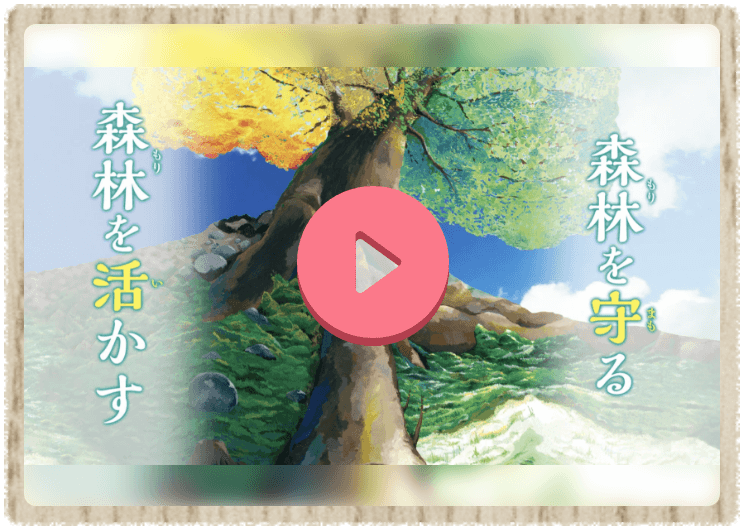 テレビCM