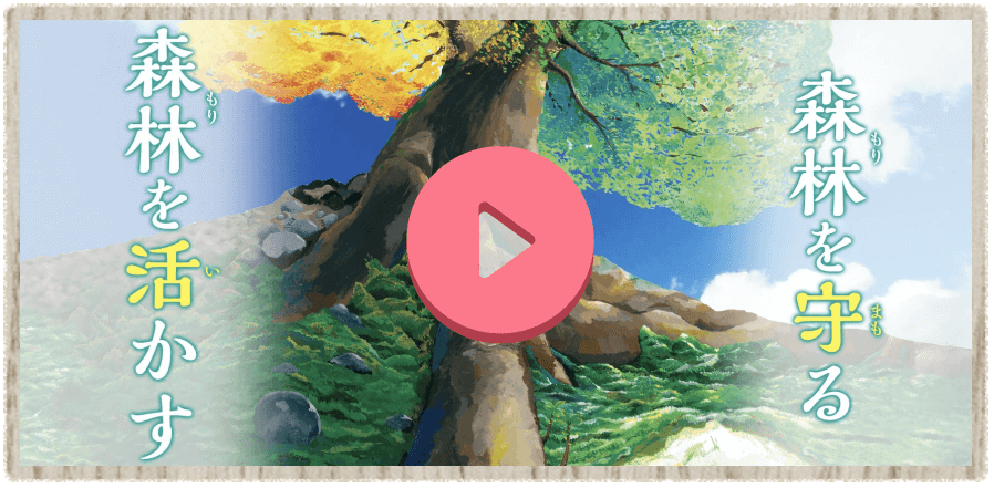 テレビCM