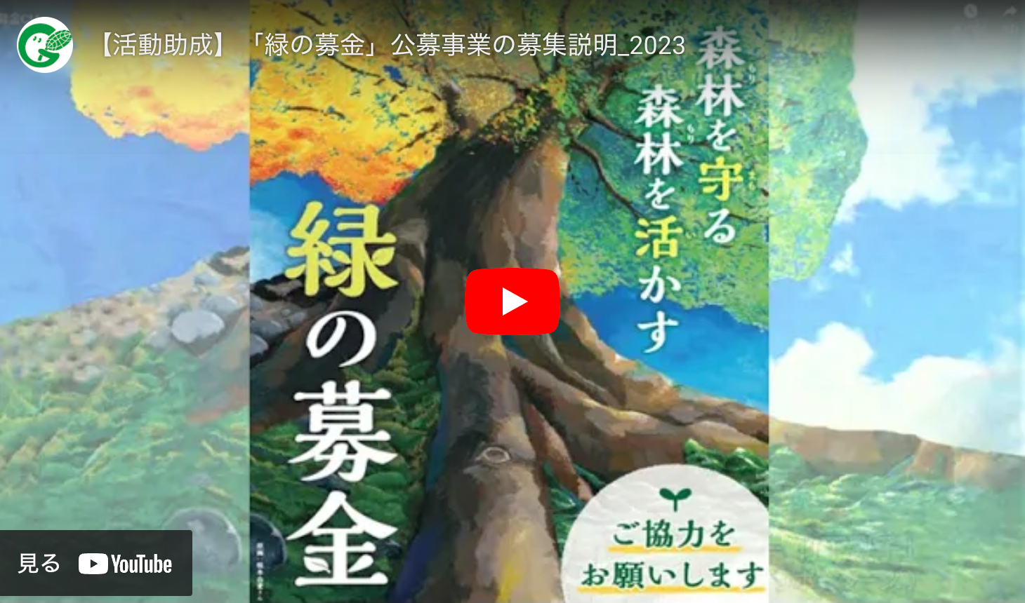 動画のサムネイル