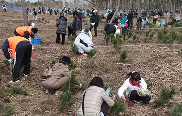 No.54 さんむ植樹祭