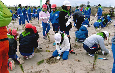 No.99 平成27年東日本大震災復興事業（鹿島灘海岸防災林復旧）