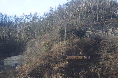 松枯れ全景