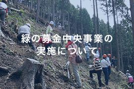 緑の募金中央事業の実施について