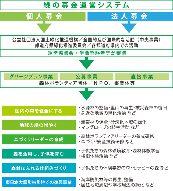 緑の募金運営システムは個人募金と法人募金の2つから成り立っており、運営協議会・学識経験者等が審議し、ボランティア団体、NPO、事業体等を通じて、国内の森を健全にする・地球の緑を増やす・森づくりリーダーの育成・森を活用し、子供を育む・森林にふれる仕組みづくり・東日本大震災被災地での復興事業に使われます。