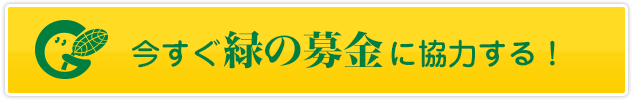 今すぐ緑の募金に協力する！