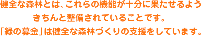 健全な森林とは、これらの機能が十分に果たせるようきちんと整備されていることです。「緑の募金」は健全な森林づくりの支援をしています。