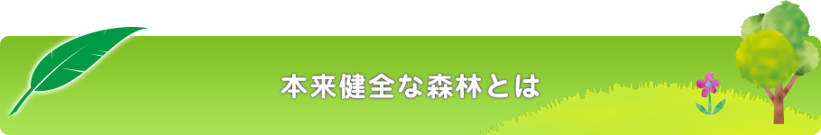 本来の健全な森林とは