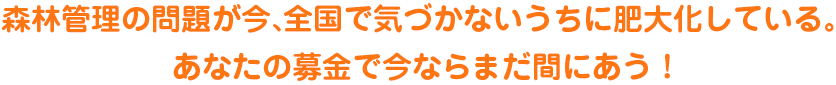 森林管理の問題が今、全国で気づかないうちに肥大化している。あなたの募金で今ならまだ間にあう！