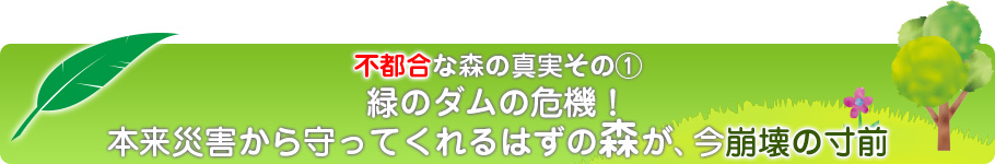 不都合な森の真実その1 緑のダムの危機！本来災害から守ってくれるはずの森が、今崩壊の寸前