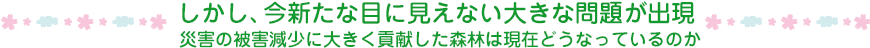 しかし、今新たな目に見えない大きな問題が出現 災害の被害減少に大きく貢献した森林は現在どうなっているのか