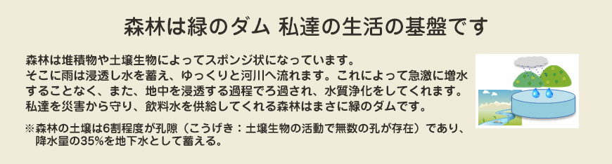 森林は「緑のダム」私達の生活の基盤です