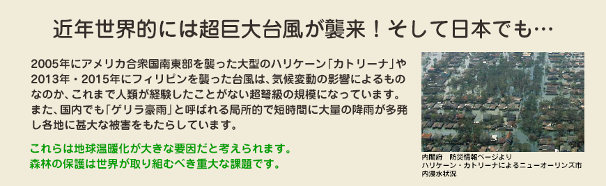 近年世界的には超巨大台風が襲来！そして日本でも…