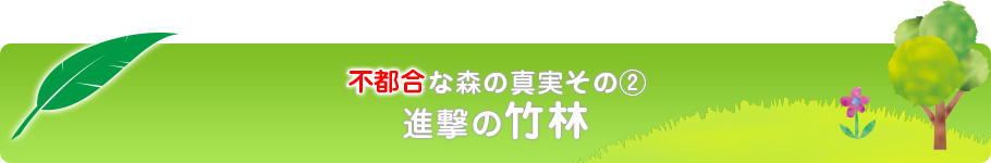 不都合な森の真実その2 進撃の竹林