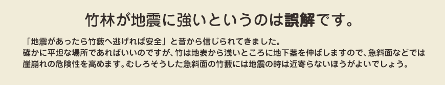 竹林が地震に強いというのは誤解です。