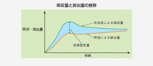 吸収量と排出量の推移