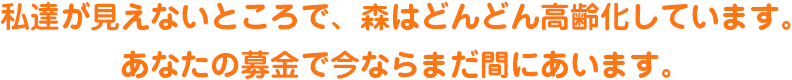 私達が見えないところで、森はどんどん高齢化しています。あなたの募金で今ならまだ間にあいます。