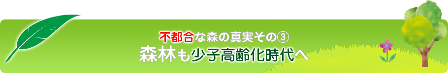 不都合な森の真実その3 森林も少子高齢化時代へ