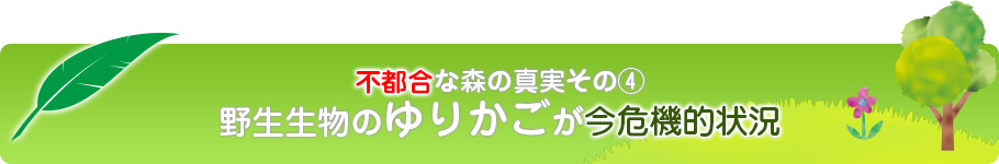 不都合な森の真実その4 野生生物のゆりかごが今危機的状況