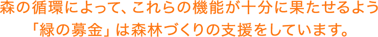 森の循環によって、これらの機能が十分に果たせるよう「緑の募金」は森林づくりの支援をしています。