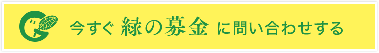 今すぐ緑の募金に問い合わせする