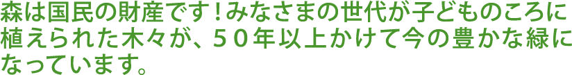 森は国民の財産です！みなさまの世代が子どものころに植えられた木々が、50年以上かけて今の豊かな緑になっています。