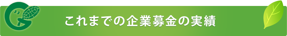 これまでの企業募金の実績